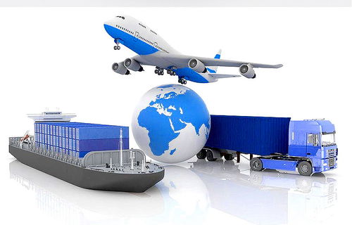 跨境车辆备案实现 无纸化 大湾区物流便利