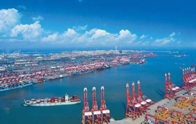 深圳贸易代理杏干购买