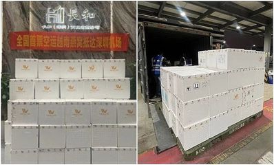 继越南榴莲在中国热卖后,首批越南燕窝又来了,今年春节国人有口福了!