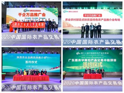 第十九届农交会移师深圳 迎接农业发展新机遇