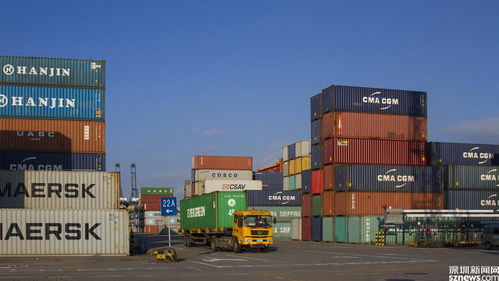 深圳国际贸易 单一窗口 平台注册企业破10万家